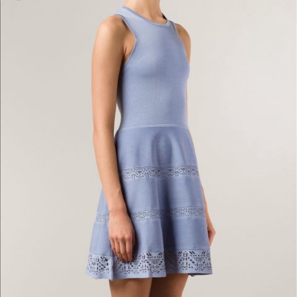 PARKER ‘Alabama’ flared dress -lamb leather detail